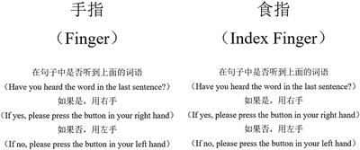 Increased Right Frontal Brain Activity During the Mandarin Hearing-in-Noise Test